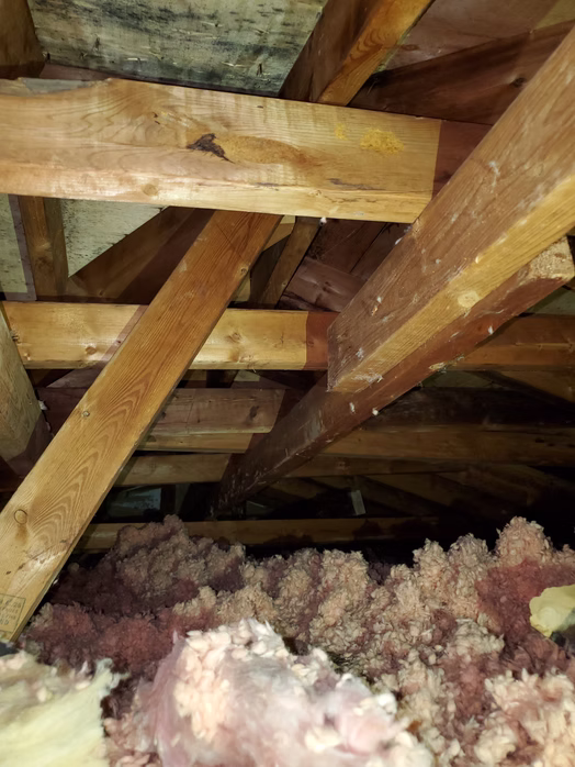 Load bearing wall removal