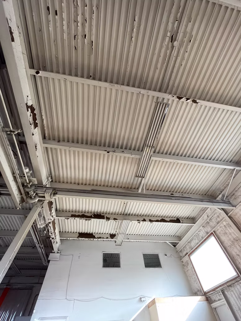 Roof Reinforcement